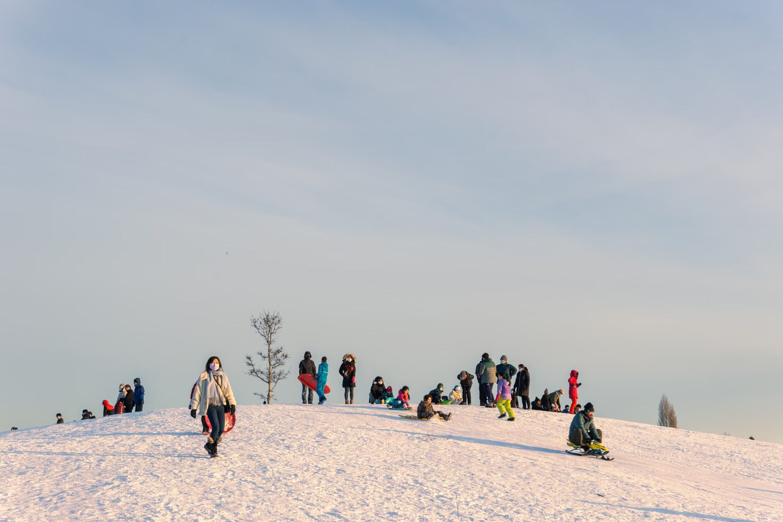 sledding down snowy hills