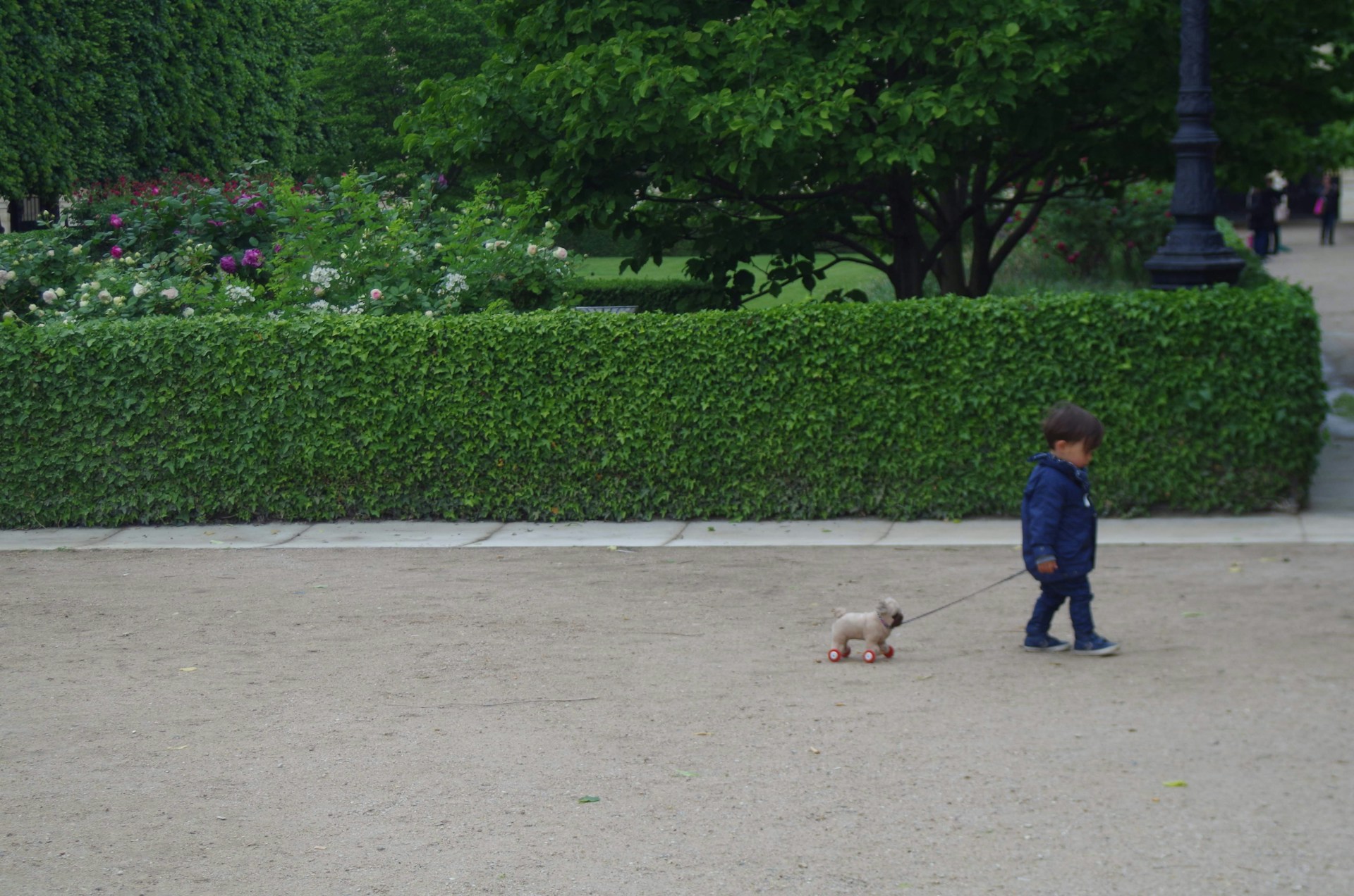 Child walking a dog in a park
